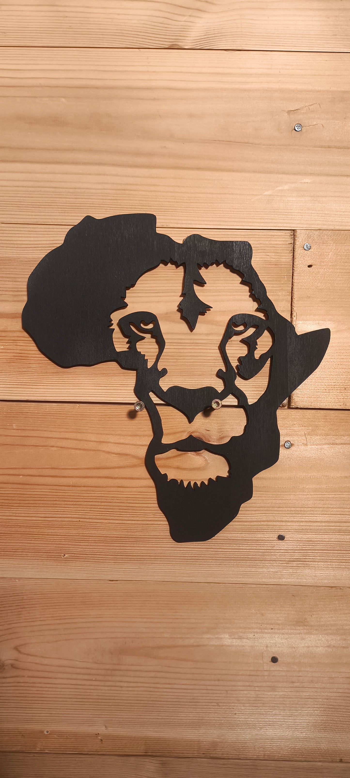 Afrique - Tête de Lion